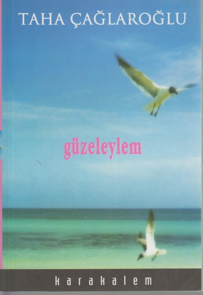 güzeleylem