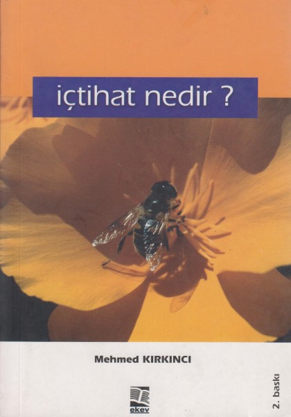 Ictihat nediri